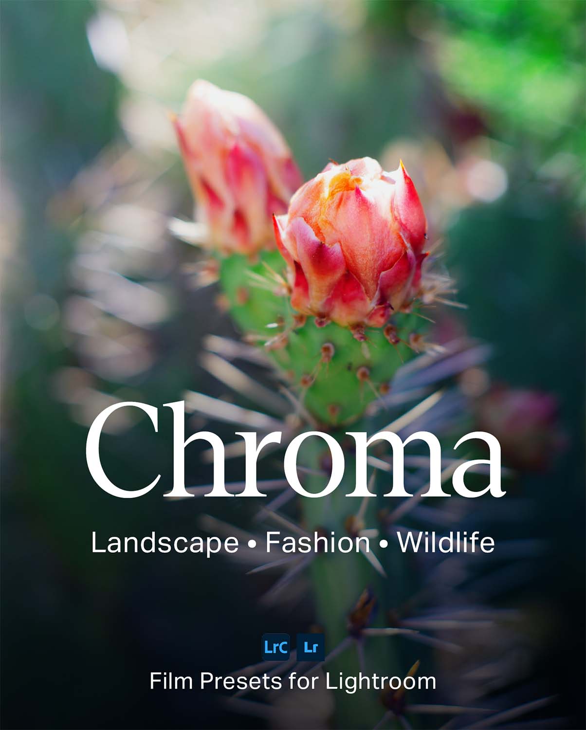 Chroma - Film Presets for Lightroom